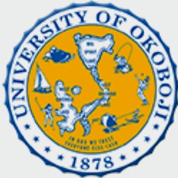 Under Armour Women's White V-neck Short Sleeve University Okobogi T-shirt - Picture 12 of 13